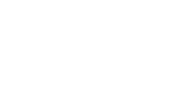 Logo-bigger